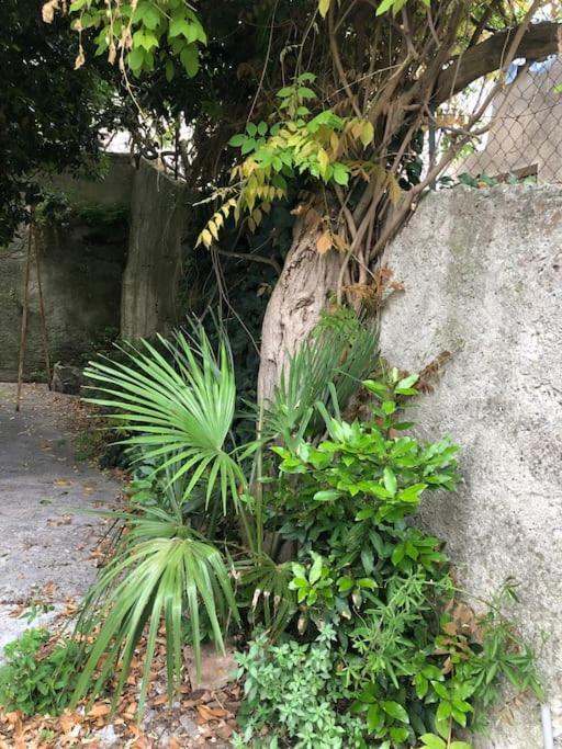 Apartamento Evasion Au Fil De L Eau Pause Avec Jardin Au Bord Du Canal Du Midi Castelnaudary